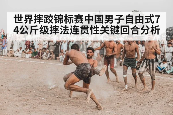 世界摔跤锦标赛中国男子自由式74公斤级摔法连贯性关键回合分析