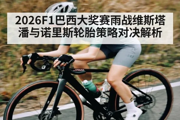 2026F1巴西大奖赛雨战维斯塔潘与诺里斯轮胎策略对决解析